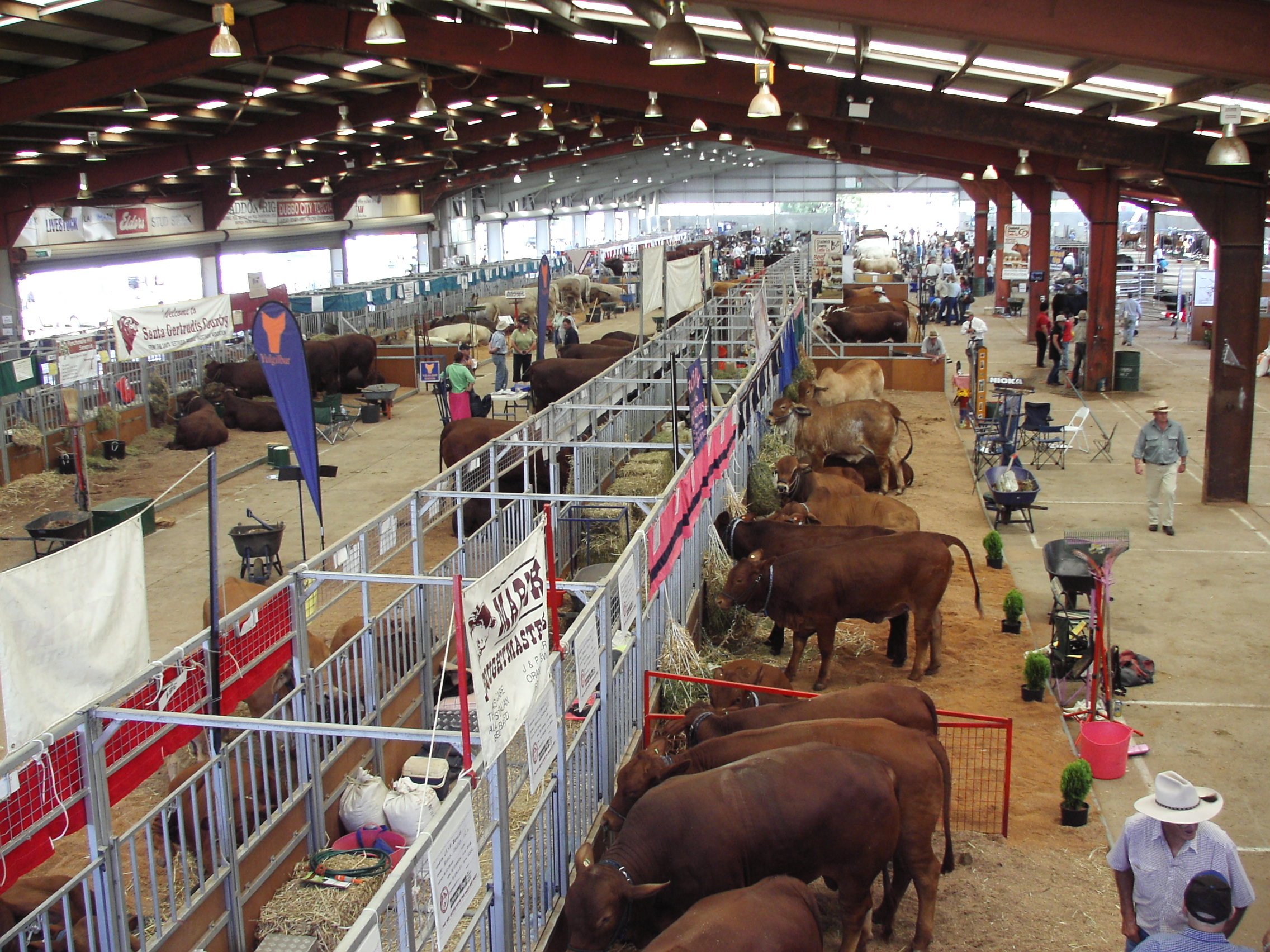 Livestock Events Dubbo Regional Council